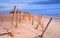 Wooden Pilings on Sandy Beach North Carolina