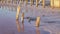 Wooden pillars on a pink salt lake