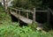 Wooden Plank Bridge in a Field of Nasturtiums on Winery Lands