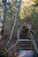 Wooden plank footpath in forest for hiking in wild nature. winter scene