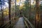 Wooden plank footpath in forest for hiking in wild nature. winter scene