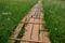 Wooden plank pathway acros peatland nature reserve in northern Slovakia, Orava region