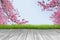Wooden plank and pink cherry blossom branch background