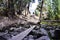 Wooden plank at trek to Beyal camp