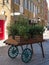 Wooden planters filled with beautiful plants and flowers on a retro wooden cart