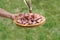 Wooden plate of galician style cooked octopus with paprika and olive oil