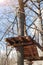 Wooden platform on tree in rope climb park in spring forest. wooden base in trunk of tree, ladder and ropes at forest