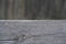 Wooden podium. A natural wooden pedestal of gray color on a blurry background.