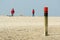 Wooden pole beach Texel