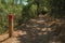 Wooden pole next to a dirt trail to mark the right path