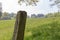 Wooden pole standing beside a meadow in the Eifel, one the German uplands in western Germany.