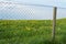 A wooden pole in a wire fence surrounding a grazing land or pastures  full of  buttercups in blossom, a rural scene of a spring co