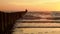 Wooden poles at the beach at golden sunset. Wave breaker pole heads in ocean water waves