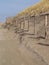 wooden poles at the dunes of Katwijk