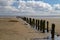 Wooden poles on a mudflat