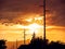 Wooden Poles of Power Lines at Sunset