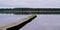 Wooden pontoon with bird wild fly on lake across the water of Sanguinet in Landes France
