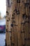 Wooden post with rusty staples and blurred background.