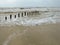 Wooden posts in sea