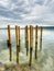 Wooden posts on the shores of a lake on an overcast sky