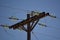 Wooden Power Pole with Antique Glass Insulators on a Sunny Day