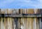 Wooden privacy fence with blue sky