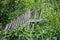 Wooden provincial fallen fence lies in the green