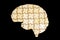 Wooden Puzzle Pieces Forming Human Brain on Black