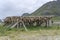 Wooden rack with dried cod heads, near Ramberg,  Lofoten, Norway