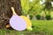 Wooden rackets and a green ball near a tree on the grass