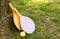 Wooden rackets and a green ball near a tree on the grass