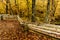 Wooden Rail Fence Natchez Trace Parkway 2