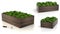 Wooden Raised Garden Beds with green plants 3D Rendering