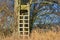 Wooden raised tree ladder stand secured to a tree as vantage point for hunters