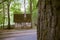 Wooden restroom or toilet building