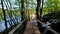 Wooden road in the forest, lakes, bridge, green nature, Waterfalls