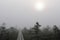 Wooden road through a mystical foggy swamp