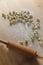 Wooden rolling pin and handmade dumplings laid out on a wooden dough board