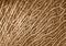 Wooden roots pattern brown coloured background