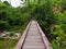 Wooden rope walkway in a rainforest