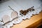 Wooden rosary and glasses of an elder on the white blanket, on the wooden table. Orthodox old believer concept background