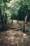 Wooden rotten footbridge made of logs in summer forest