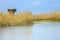 Wooden round tower for bird watching