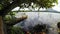 Wooden row boat anchored, floating on polluted lake