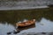 Wooden Rowboat in Shallow Waters