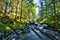 Wooden ruins at a river at Swedish rapids