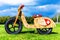 Wooden runbike on the grass field outdoors