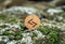 Wooden rune Jera on stone with moss outdoors, closeup