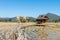 Wooden Rural huts in Chiang Mai with rice field and mountain landscape.