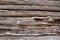 Wooden rustic and aged closeup shot of barn wall.